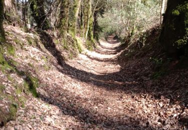 Trail Walking Bannalec - BANNALEC - Photo