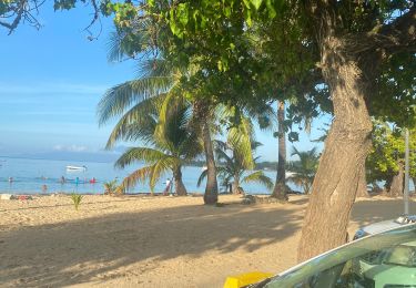 Tocht Trail Sainte-Anne - Plage de Ste Anne  - Photo