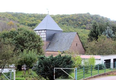 Randonnée A pied Sangerhausen - DE-Gelber Balken - Photo