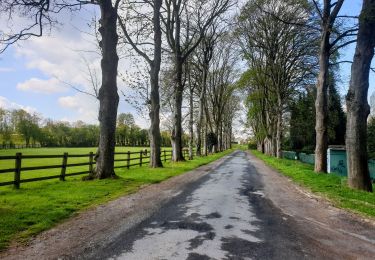 Tour Wandern Court-Saint-Étienne - Bois de Morimont - Photo