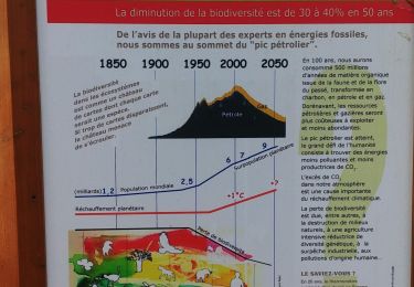 Excursión Senderismo Vidauban - L'Eusclade et Chebreguin - Photo