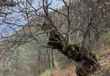 Trail Walking Sorbiers - Balade chapelle st-honora - Photo