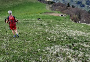 Tocht Stappen Lalley - rando depuis col lus la croix haute  - Photo