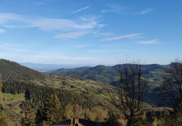 Tour Mountainbike Urbach bei Kaysersberg - haut voirimont fonderie - Photo