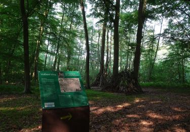 Tocht Te voet Bedburg-Hau - Moyland Rundweg A4 - Photo