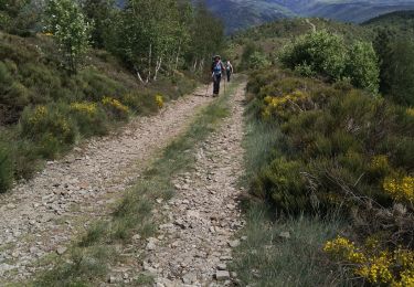 Tour Wandern Villefort - mas de la barque - Photo