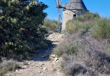 Tour Wandern Montfuron - Moulins Montfuron - Photo