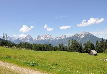 Tocht Te voet Vorderstoder - Wildererweg - Photo