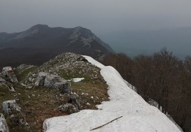 Percorso A piedi Sicignano degli Alburni - Anello del Monte Panormo - Photo