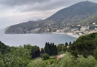 Excursión Senderismo Levanto - Levanto-monterosso-11kmD450m - Photo