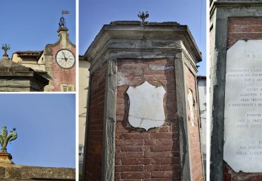 Excursión A pie Montespertoli - Dolce campagna, antiche mura 3 - Photo