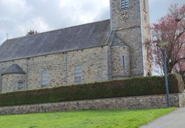 Tour Wandern Érezée - A la découverte de Mormont  - Photo