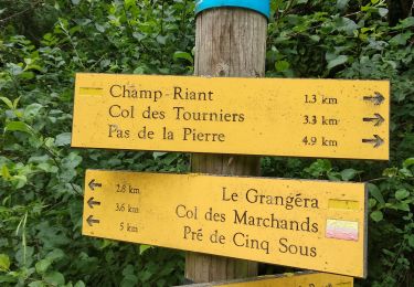 Tour Wandern Beauregard-Baret - pas de la Pierre pas de l'Aulagnier  - Photo