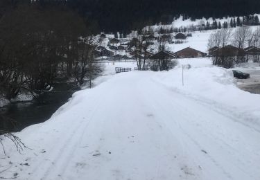 Excursión Marcha nórdica La Chapelle-d'Abondance - Crêt Béni vers plan de feu - Photo