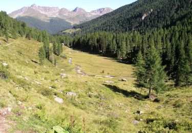 Randonnée A pied Cinte Tesino - Sentiero di Val D'Inferno e di Val Vendrame - Photo