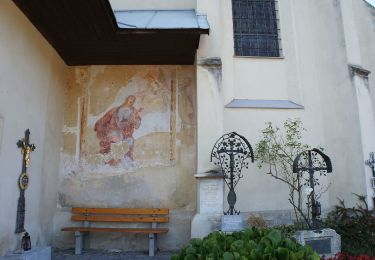 Tour Zu Fuß Gemeinde Zöbern - tut gut Wanderweg Zöbern Route 3 - Photo