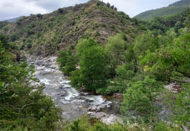 Percorso Marcia Pont de Montvert - Sud Mont Lozère - du Pont de Monvert à Bédoues - Photo