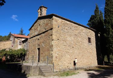 Trail On foot Arezzo - IT-550 - Photo