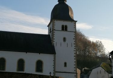 Tocht Stappen Florenville - Chassepierre, la Roche Brûlée  - Photo