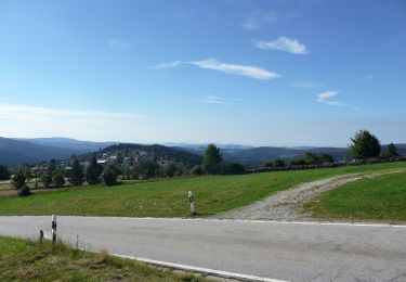 Tour Zu Fuß Mauther Forst - Birkhuhn - Photo