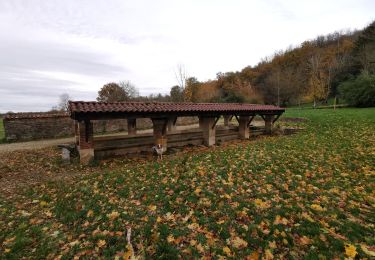 Tour Pfad Tossiat - lavoir tossiat / journans / senissiat/ X de rignat /lavoir  - Photo