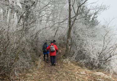 Tocht Stappen Martailly-lès-Brancion - Martialy le 29-01-2022 - Photo