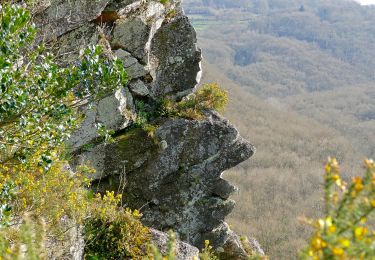 Randonnée A pied Athis-Val-de-Rouvre - Sentier du granite - Photo