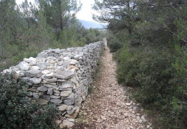 Trail Walking Lagnes - PF-Lagnes-Mur de la peste - Reco - Photo