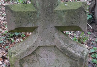 Tour Zu Fuß Schaafheim - Rundwanderweg Sparkasse Dieburg 4 : Höhen des Bachgaues und Schaafheimer Warte - Photo