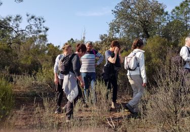 Percorso Marcia Roquebrune-sur-Argens - la lieutenante par la Bouvrie - Photo