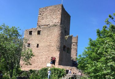 Tour Wandern Winzenheim - wintzenheim et les châteaux - Photo