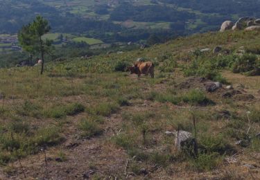 Tocht Stappen Vascões - Vascões - Corno de Bico - Photo