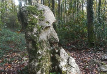 Randonnée Marche Cesson - Forêt de Breviande et le menhir du Grand Berger - Photo