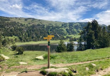 Tocht Stappen Les Angles - Lac d’Aude tour du lac dès bouillouses - Photo