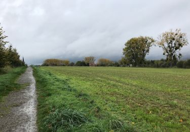 Randonnée Marche Enghien - Enghien 12 km - Photo