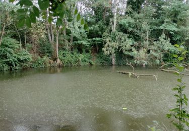 Tocht Stappen Luik - Boucle Fragnée - Chênée - Streupa - Angleur - Fragnée - Photo