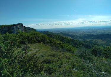 Excursión Bici eléctrica Suzette - Suzette Vttae - Photo