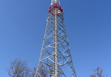 Randonnée A pied Gemeinde Klausen-Leopoldsdorf - Agsbach - Kaiserbründl - Photo