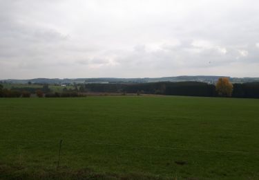 Randonnée Marche Gouvy - Ourthe village  - Photo