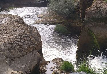 Randonnée Marche Matafelon-Granges - Charmine - Saut de l'Oignin - Photo