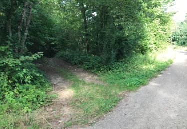 Trail Walking Montauville - Forêt de PUVENELLE boucle entre Maidières et Jéeainville - Photo