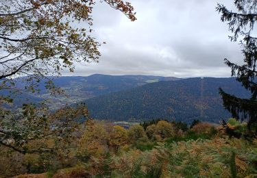 Trail Walking Saulxures-sur-Moselotte - Circuit Zéfeut - haut du comte - Photo