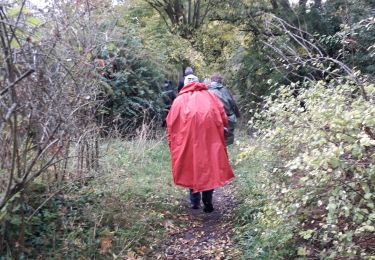 Tocht Stappen Rouen - Darnétal le long du Robec vers la petite Bouverie et retour - Photo