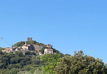 Excursión Senderismo Pégairolles-de-Buèges - Vallée de la Buège  - Photo