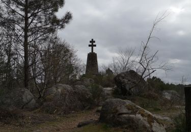 Tour Wandern Noisy-sur-École - croix st gerome - Photo