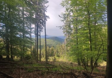 Trail Walking Bœrsch - heidenkopf - Photo