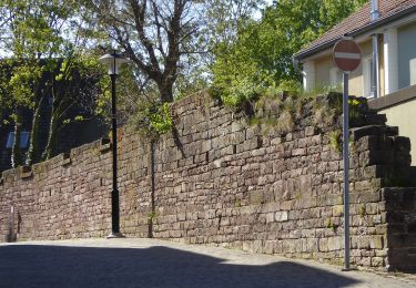 Randonnée A pied Stadtoldendorf - ST2 Durchs Fahrenbachtal zum Klostergut - Photo