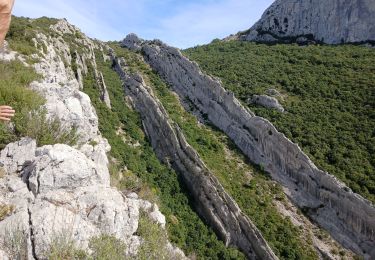 Percorso Marcia Plan-d'Aups-Sainte-Baume - Tour Cauvin, Dent de Roque Forcade, grotte de la Grande Baume - Photo