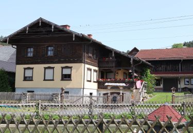 Tour Zu Fuß Schalkau - Dockenweg - Photo