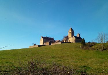 Tour Wandern Sigy-le-Châtel - si gt jonquilles  - Photo
